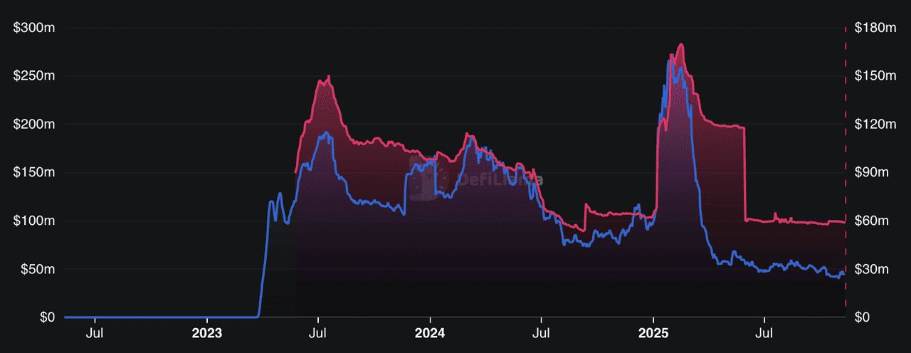 2025 年 ZKsync 生态系统的发展动力是什么？